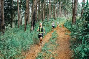 BIB: 
                            <button type="button" onclick="openModal(25682955)" class="btn btn-primary btn-sm float-right btn-popup" data-toggle="modal" data-target=".modal-high-quality">
                        <i class="fas fa-shopping-cart"></i> Add to Cart
                    </button>
                                            <button type="button" onclick="isThisMe(25682955, true)" class="btn btn-success btn-sm float-right btn-popup btn-isme hidden" data-toggle="tooltip" data-placement="bottom" title="นี่คือรูปของคุณใช่ไหม คลิกที่นี่เพื่อเอาเข้าอัลบั้ม">
                        <i class="fas fa-plus"></i> Add to album
                    </button>
                    <button type="button" onclick="isThisMe(25682955, false)" class="btn btn-warning btn-sm float-right btn-popup btn-isnotme hidden">
                        <i class="fas fa-ban"></i> Remove from album
                    </button>